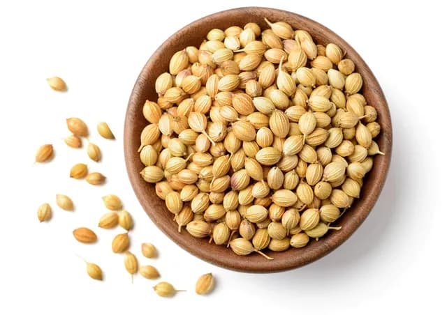 Coriander