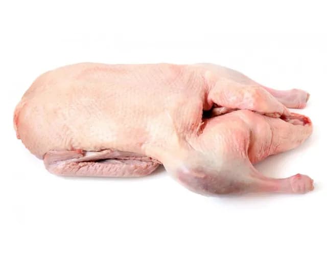 Duck Meat