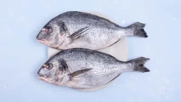 Fresh fish on ice