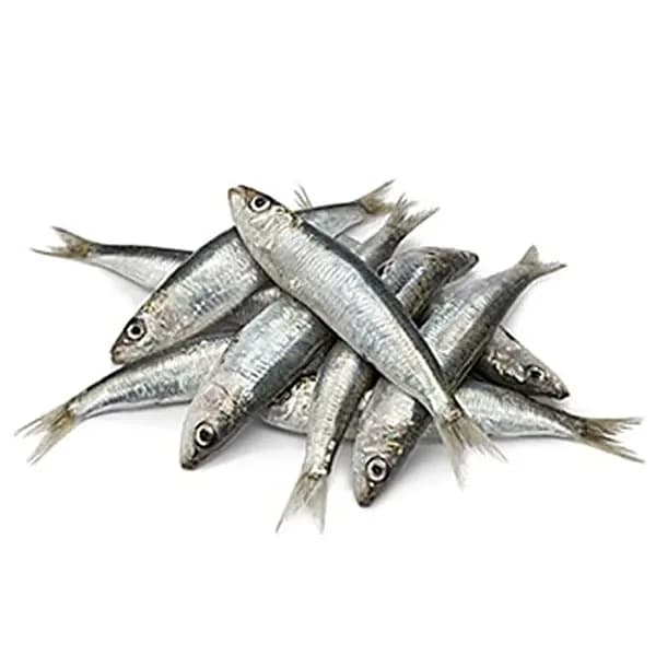 Mathi (Sardine)