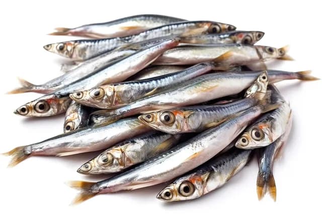 Natholi (Anchovy)