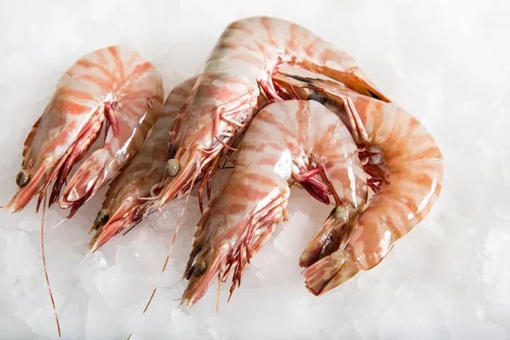 Tiger prawns