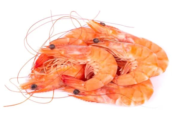 Tiger Prawns