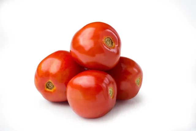 Tomato Hybrid